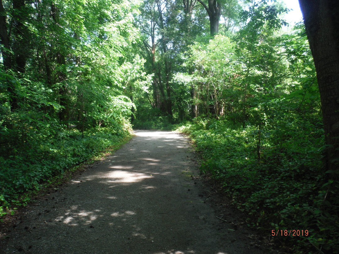 Paradise Creek Nature Park景点图片