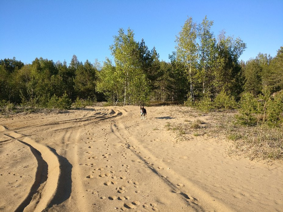 Granlunda Gårdshotell主图