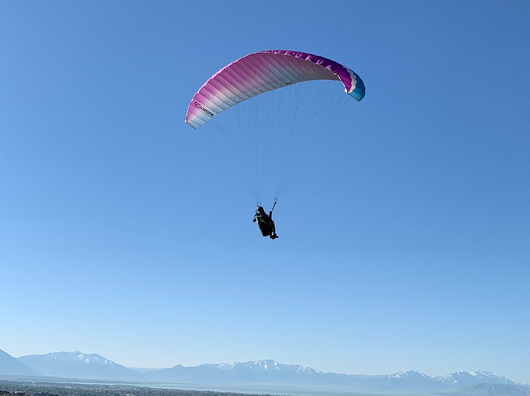 Cloud 9 Paragliding景点图片