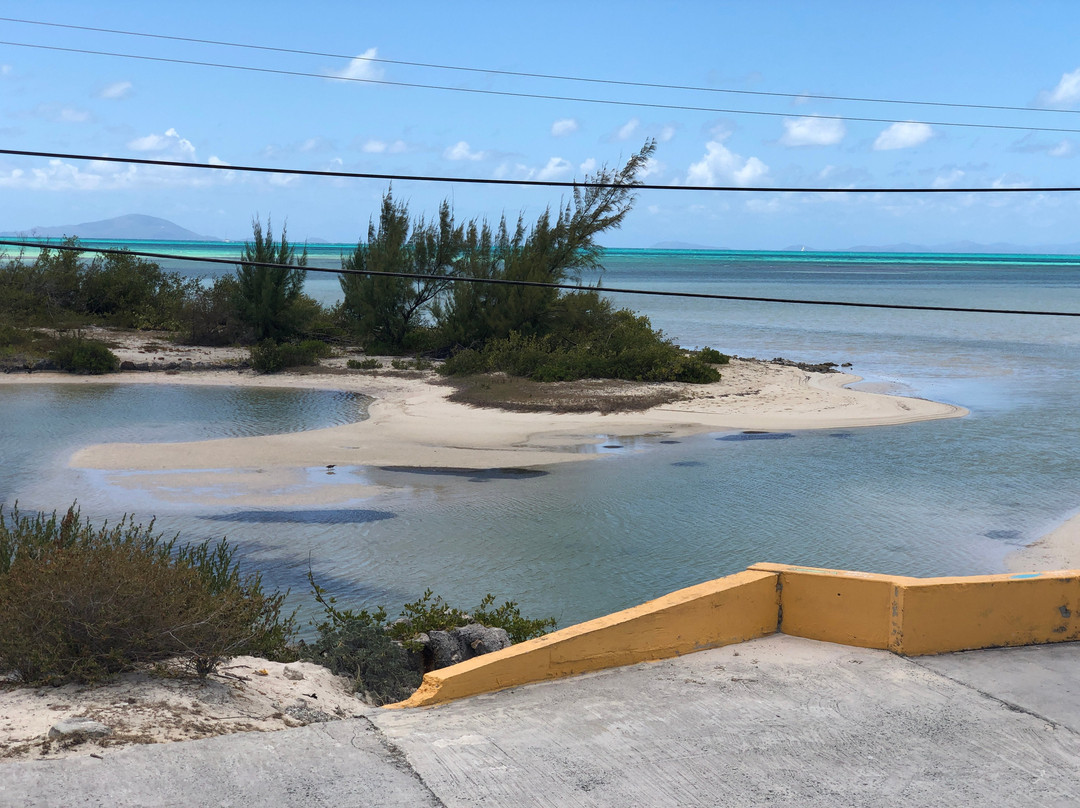 Flamingo Pond-Anegada必去景点