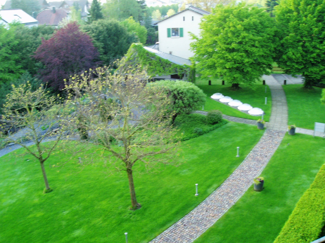 Dorint Parkhotel Bad Zurzach主图