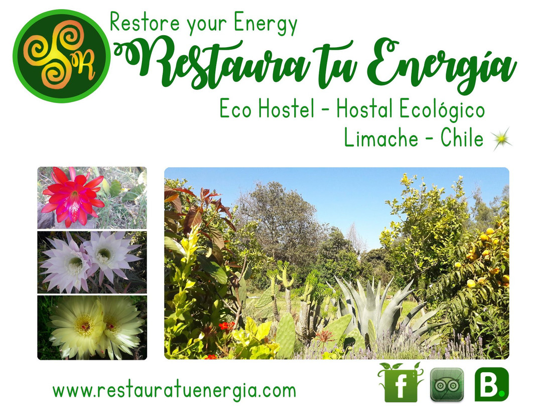 Eco Hostal Restaura tu Energia
