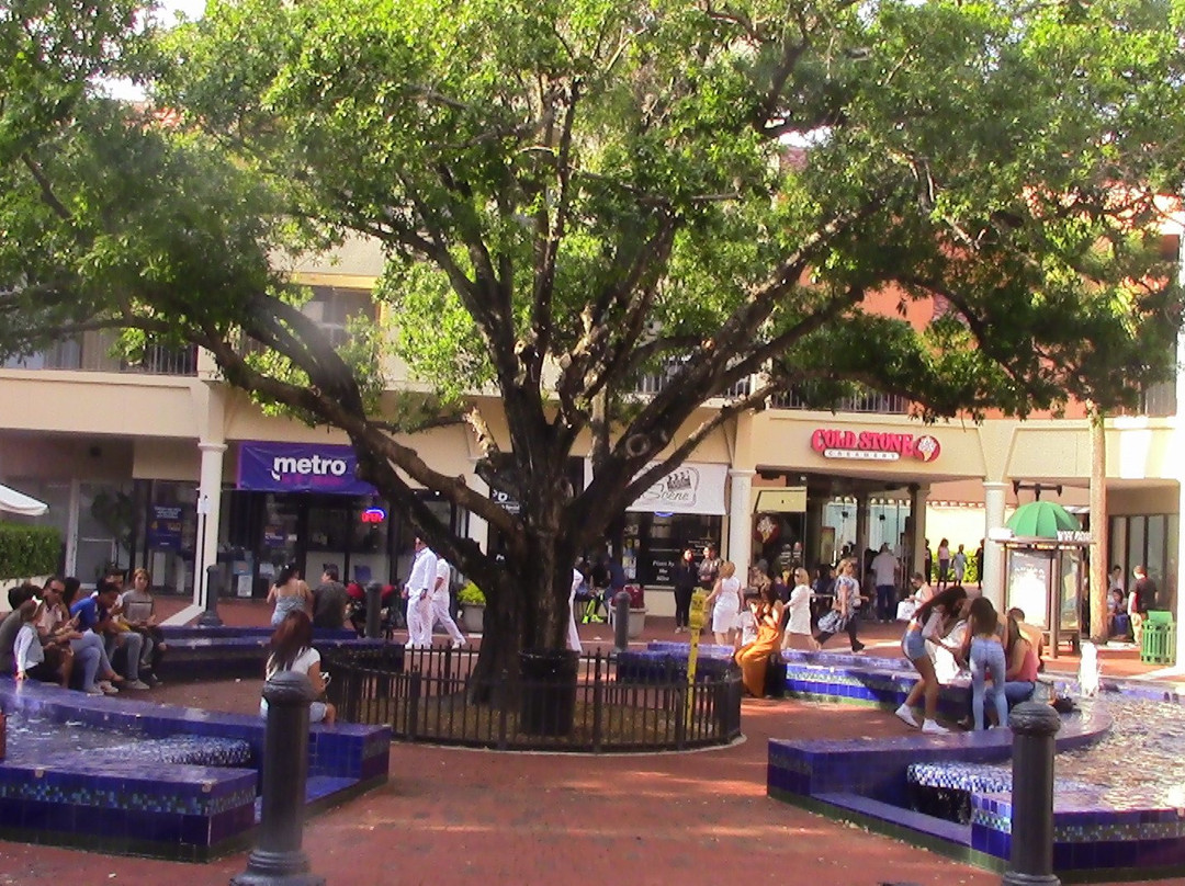 Main Street Miami Lakes-迈阿密湖必去景点