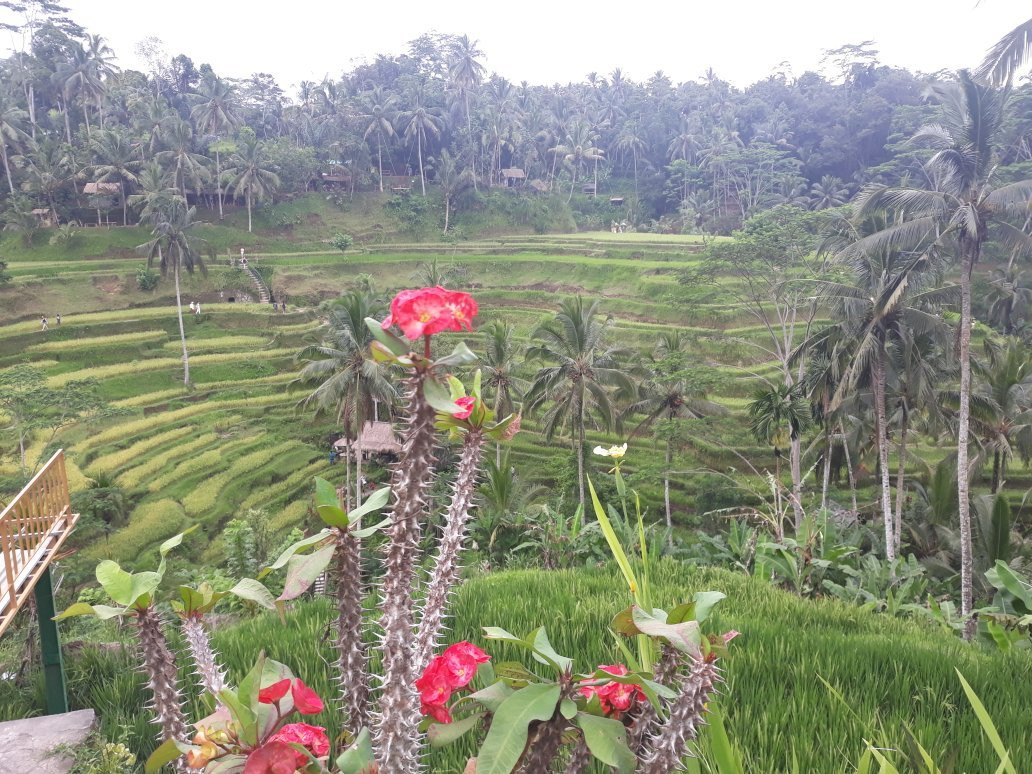 Natural View Sidemen Cottage主图