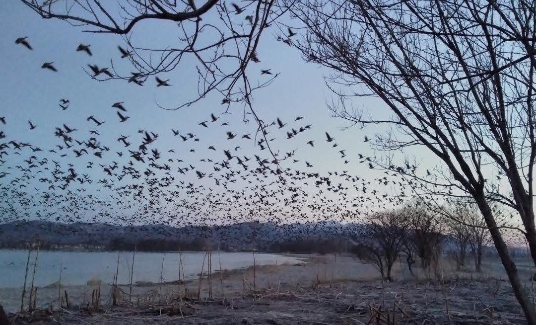 Miyajimanuma-美呗市必去景点