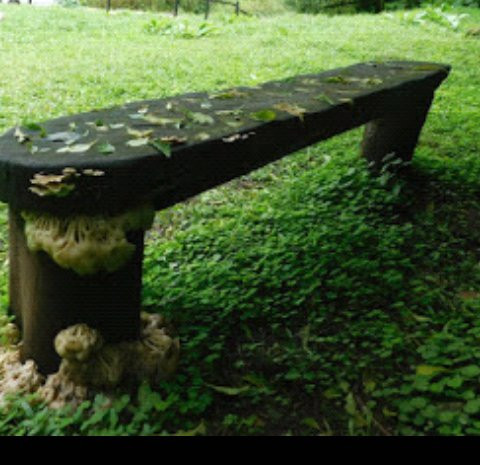 Sendero Bosque del Cielo-Calilegua必去景点