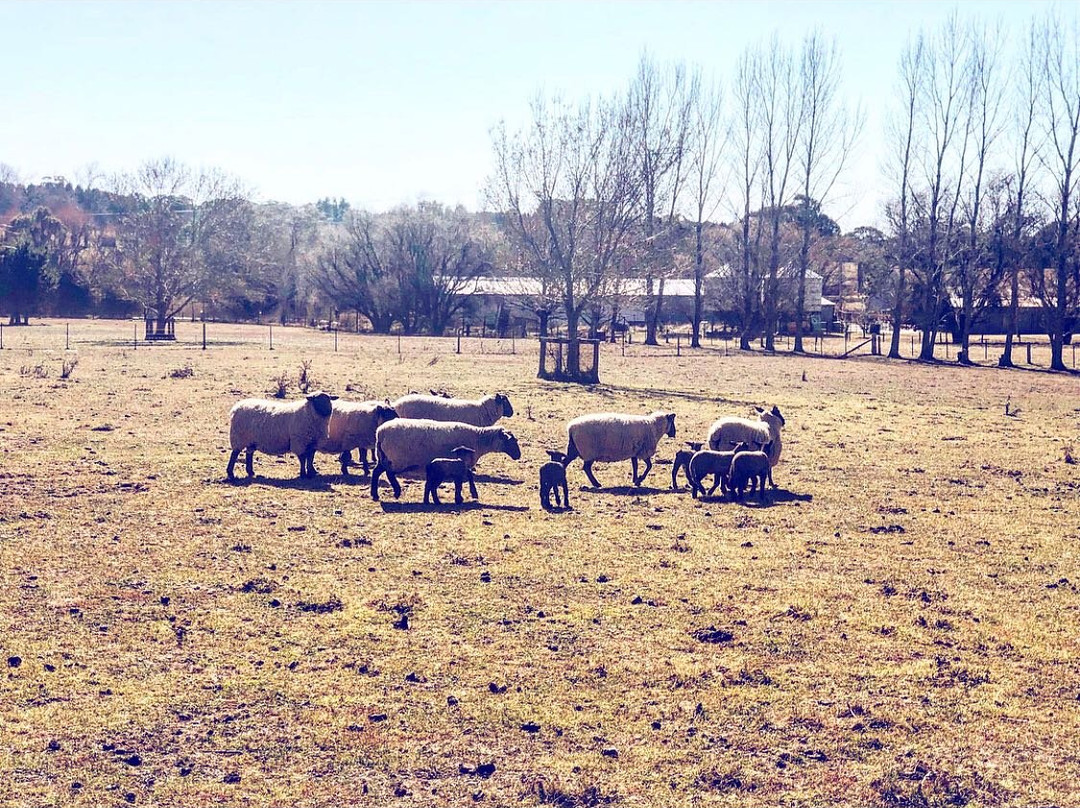 St Maur Wines-Exeter必去景点