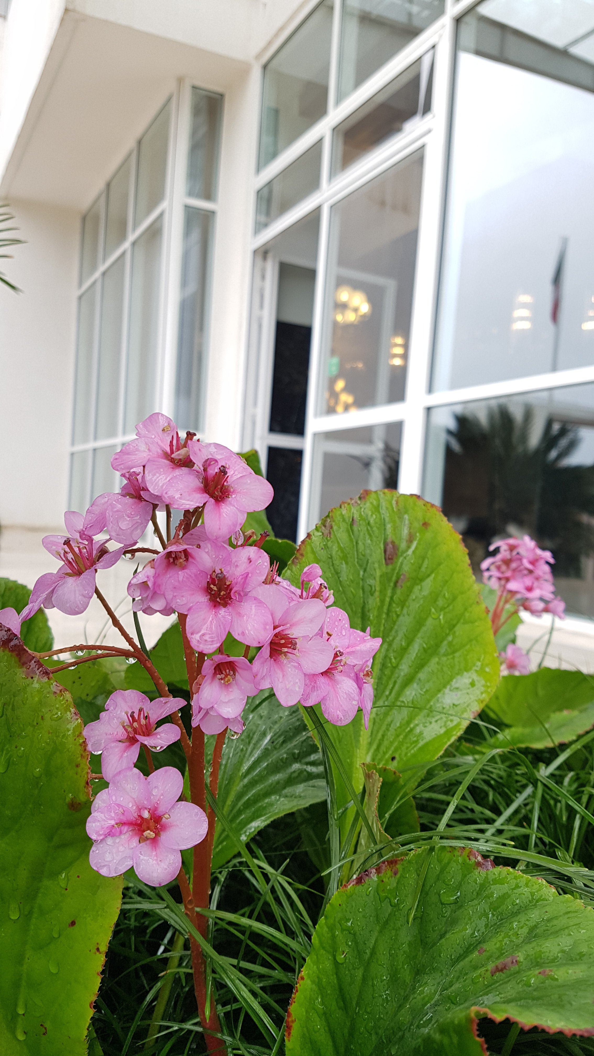 Westa Hotel and Resort-浴室