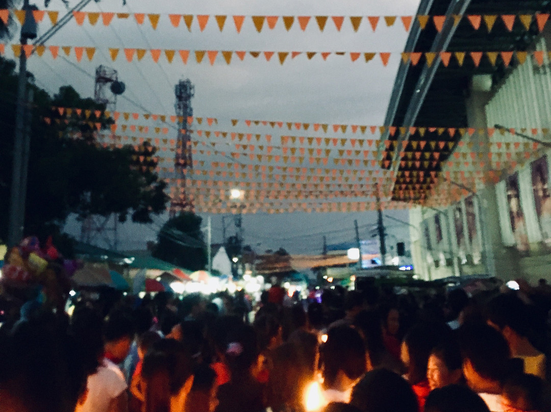 St Francis Xavier Church景点图片