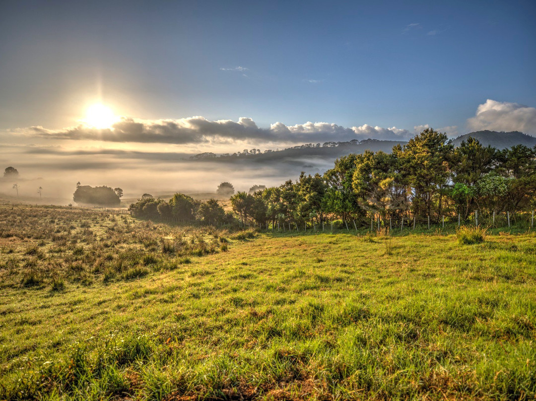 Petite Provence Bed & Breakfast主图