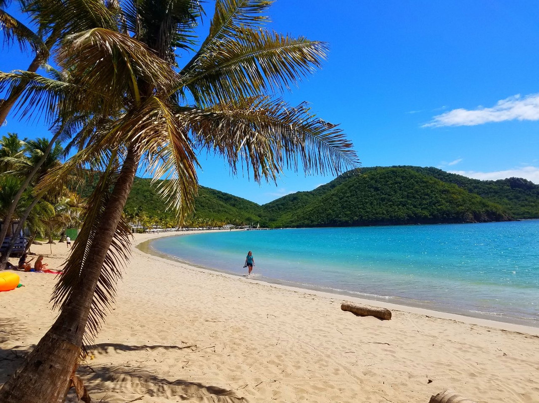 Carlisle Beach-安提瓜必去景点