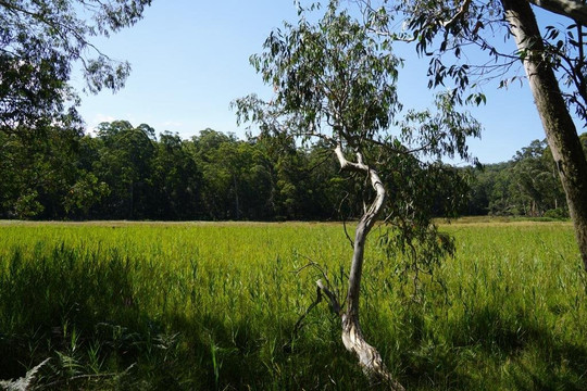 Walcha旅游景点-Mummel Gulf National Park