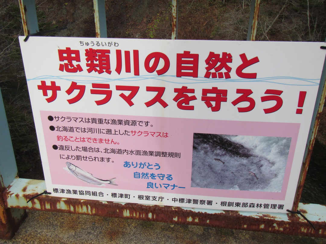 Kanayama Waterfall-标津町必去景点