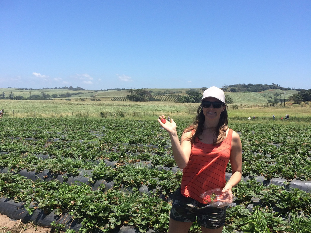 Cappeny Estate-巴利托必去景点