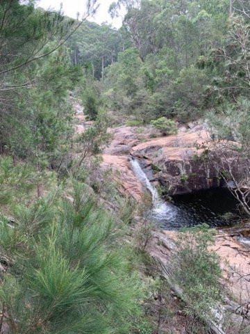 Mumbulla Falls景点图片