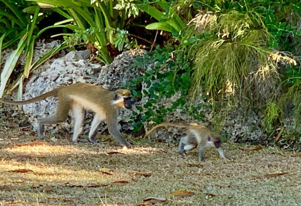 Bayfield House主图