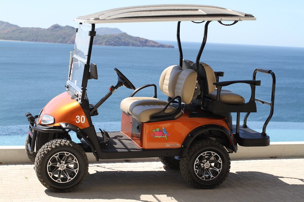 Flamingo Beach Golf Cart Rentals景点图片