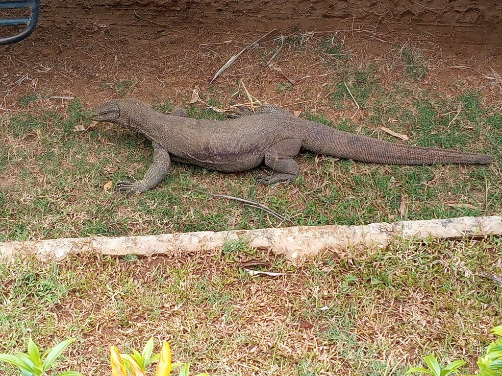 Great Lake Villa主图