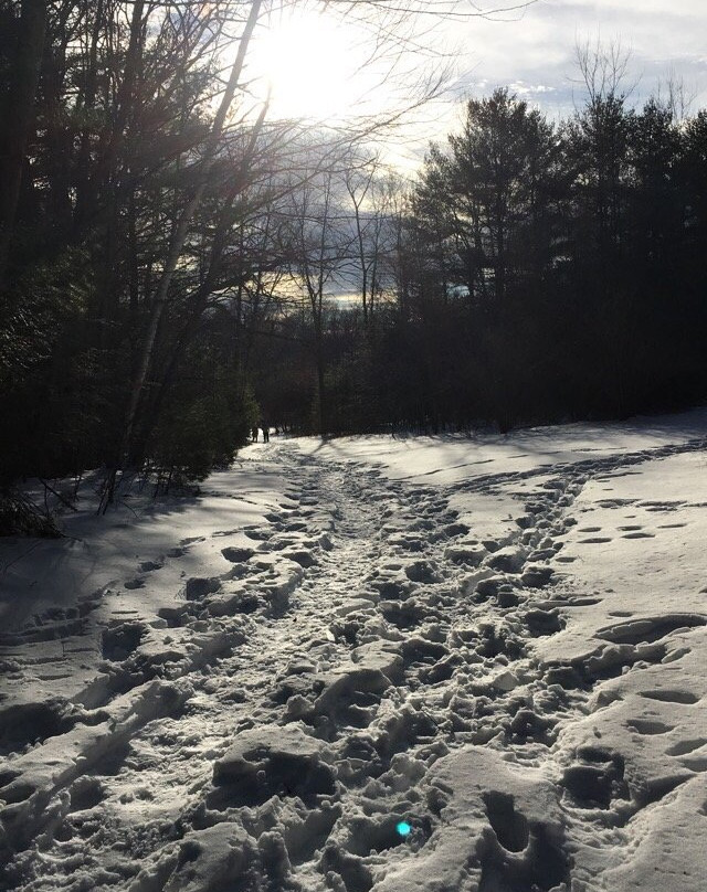 Stanley Park-Westfield必去景点