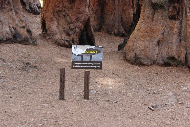 The Senate-Three Rivers必去景点