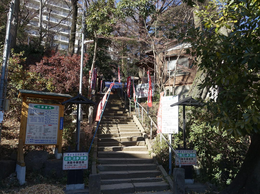 Seiryu-ji Fudoin Temple景点图片