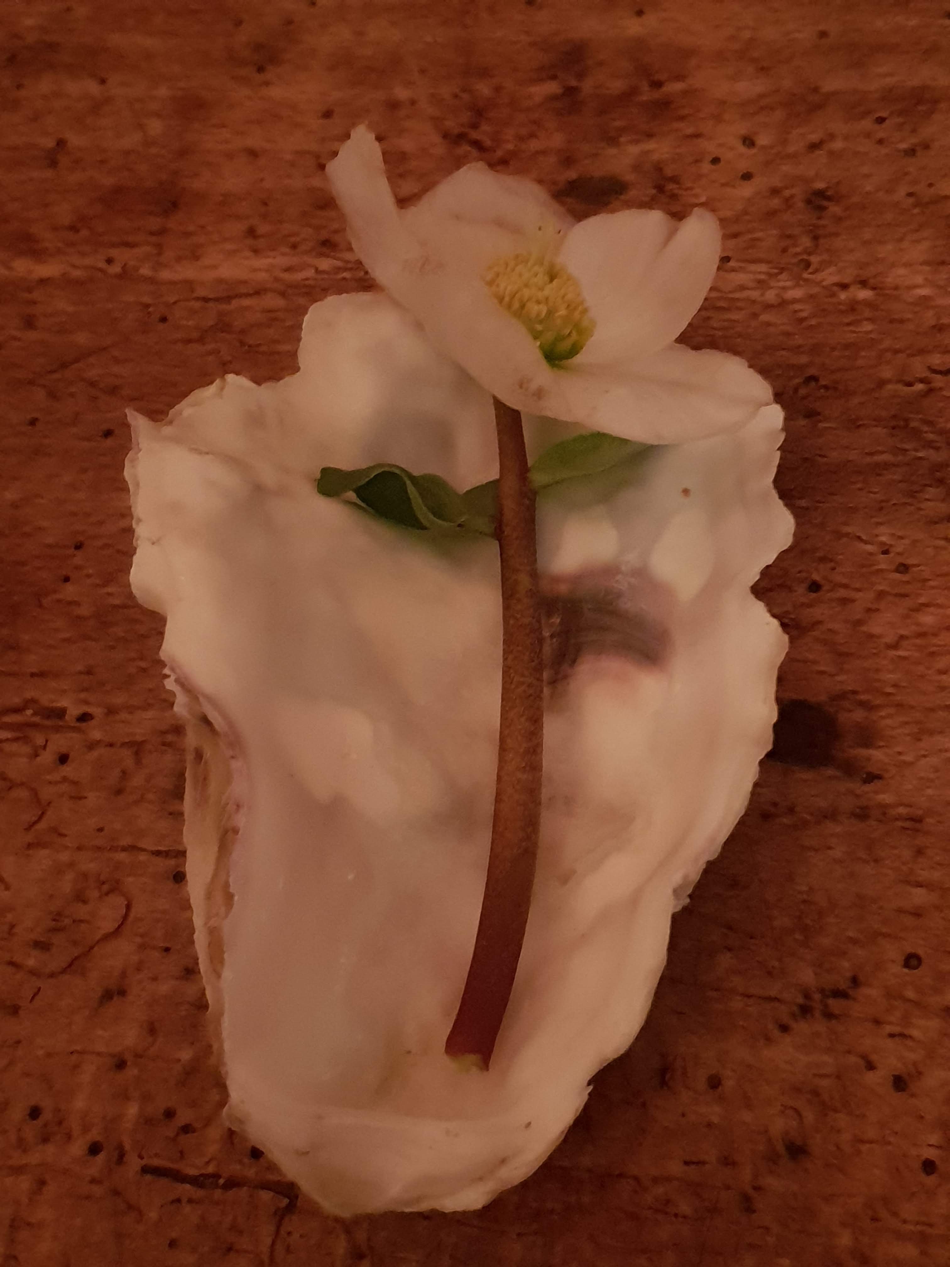 Lådfabriken -seaside Accommodation--餐饮