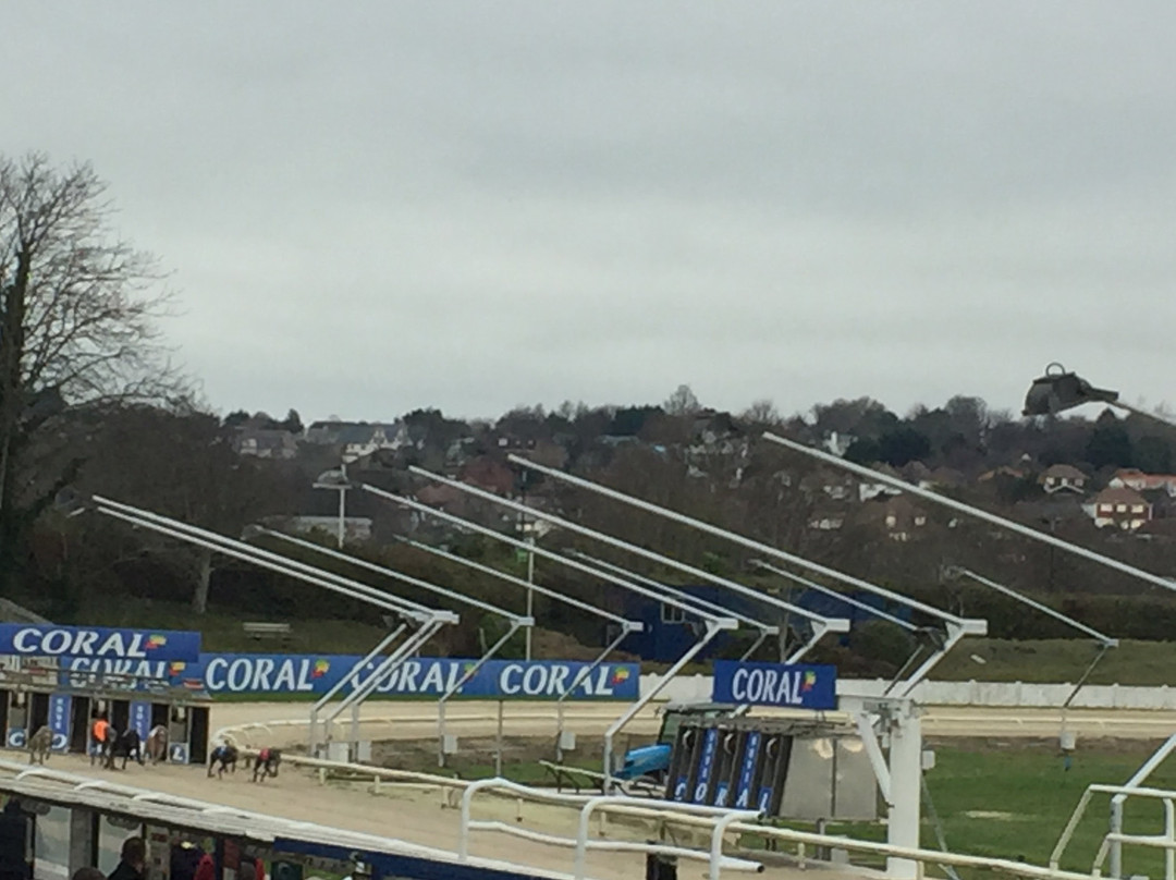 Coral, Brighton & Hove Greyhound Stadium景点图片