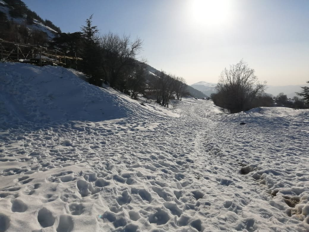Cedars Ground Campsite