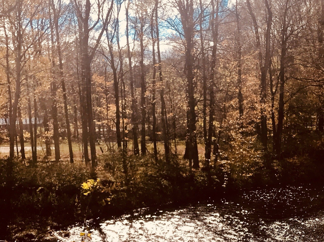 Green Mountain Flyer-Chester必去景点