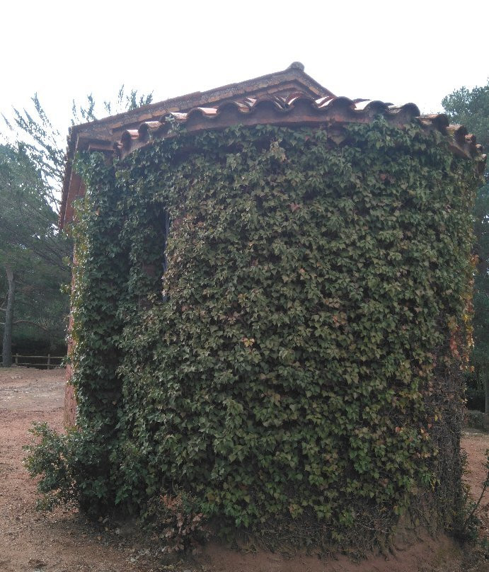 Ermita de Sant Antoni景点图片