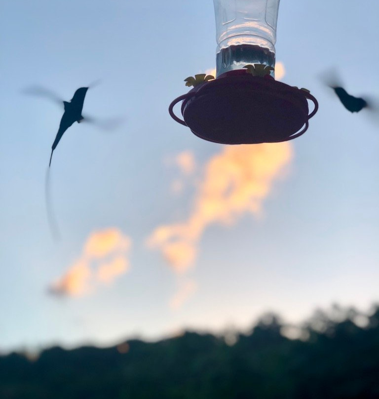 Moon San Villa主图