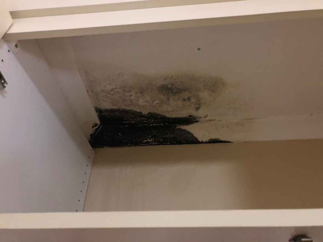 Assagay Country Guest House主图