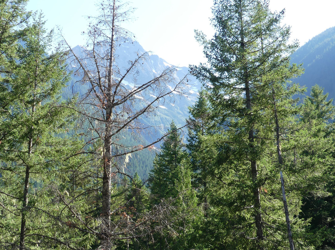 Thunder Knob Trail景点图片