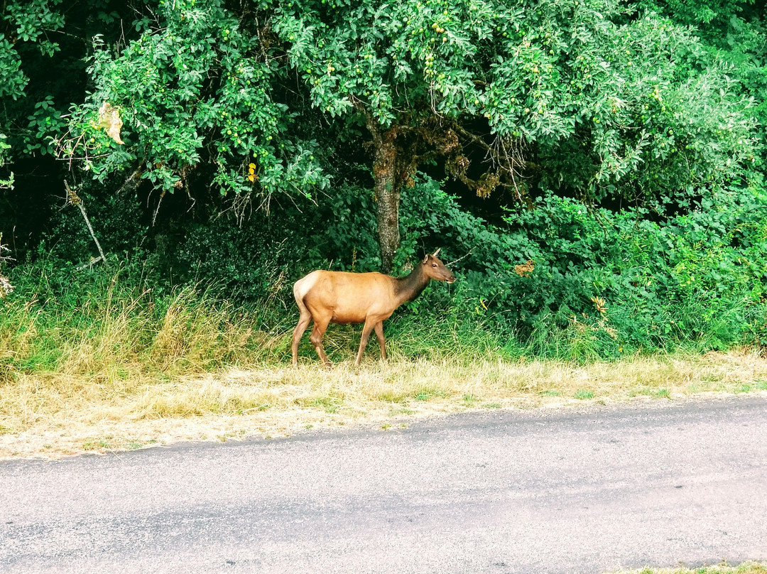 山顶步道旅舍主图