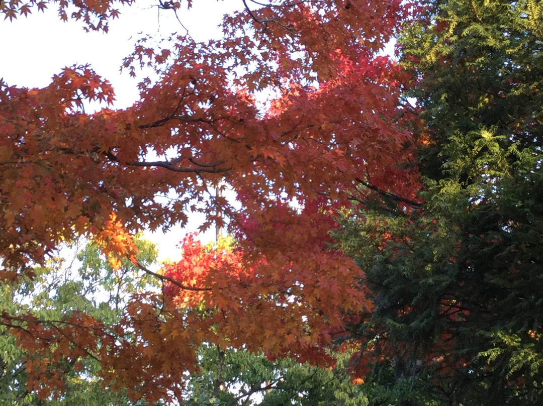 Heisei Garden Genshinan-江戸川区必去景点
