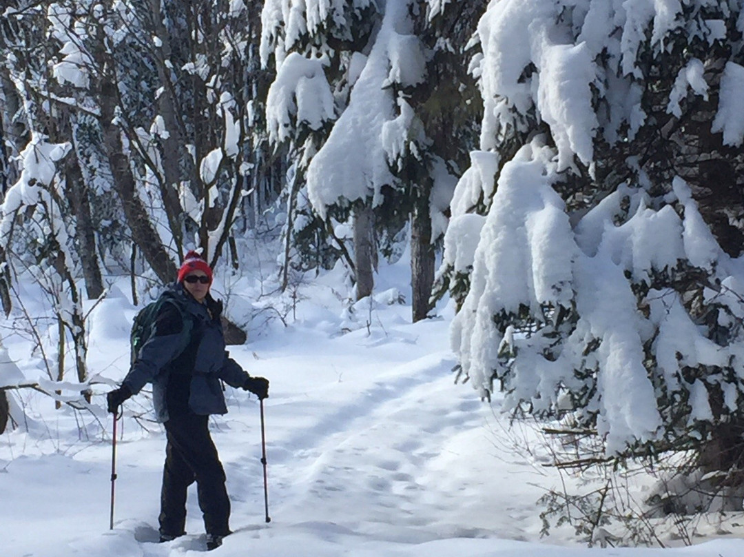 Aroostook National Wildlife Refuge景点图片