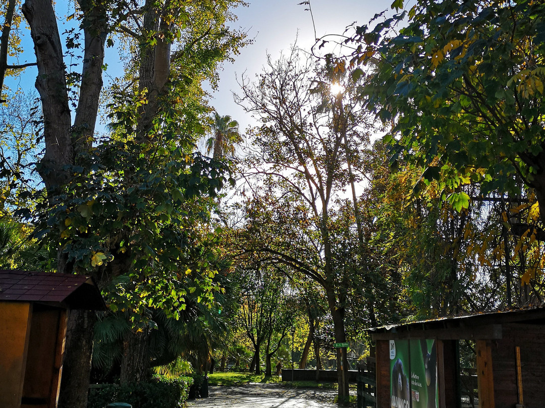 Lo Zoo di Napoli-那不勒斯必去景点