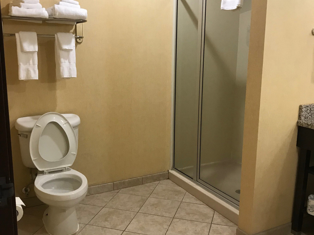 艾希礼西部酒店主图