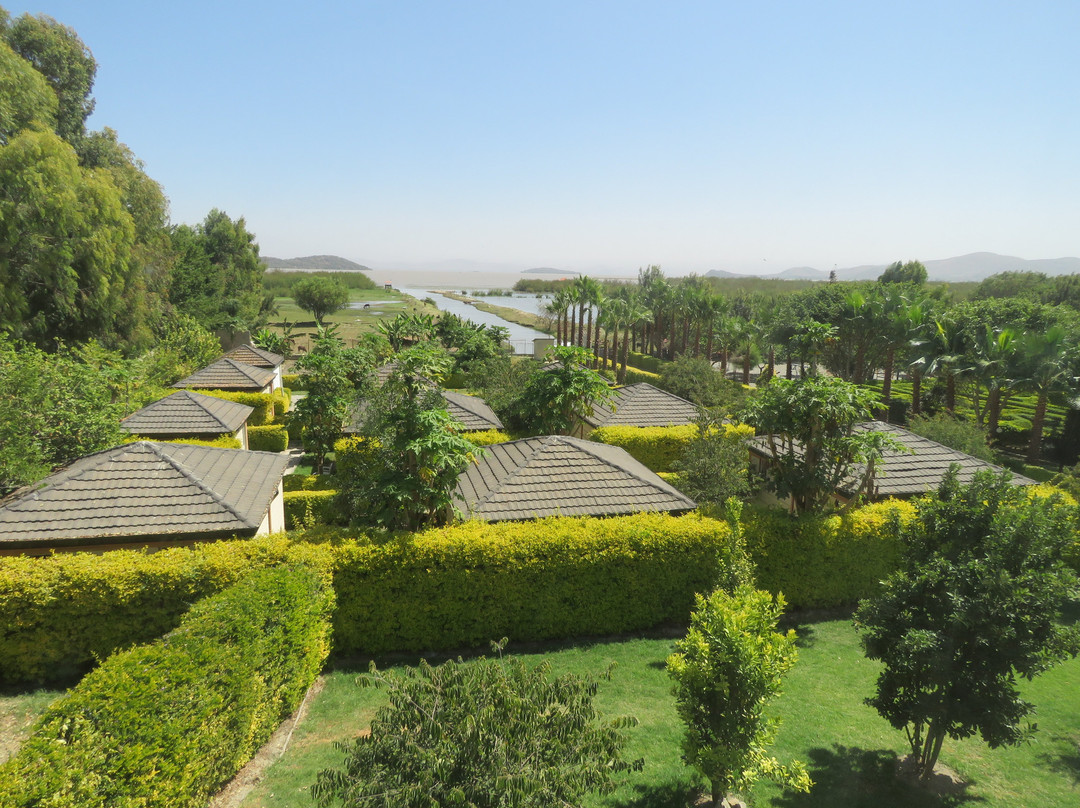 Haile Resort - Batu - Ziway主图