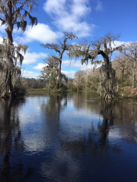 Edward Ball Wakulla Springs State Park-Wakulla Springs必去景点