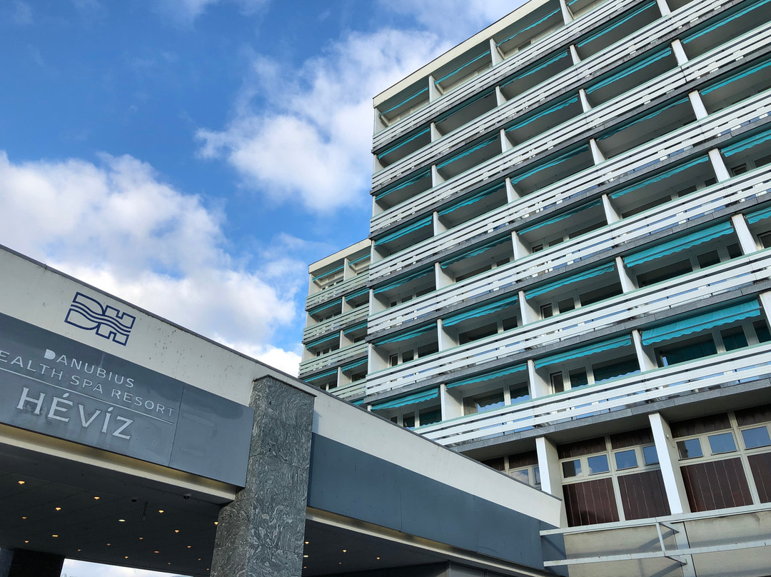 海维兹达奴碧尤斯温泉酒店主图
