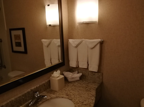 克洛维斯希尔顿花园酒店主图