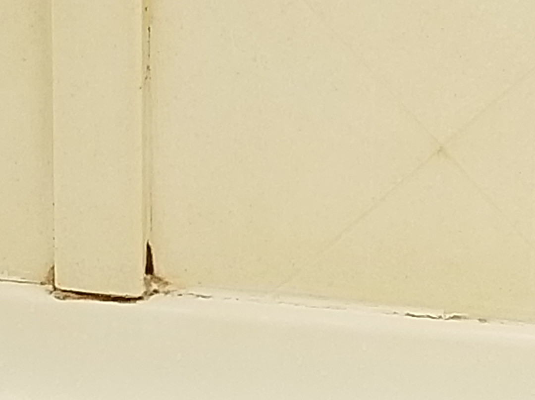 Hampton Inn Ozark主图