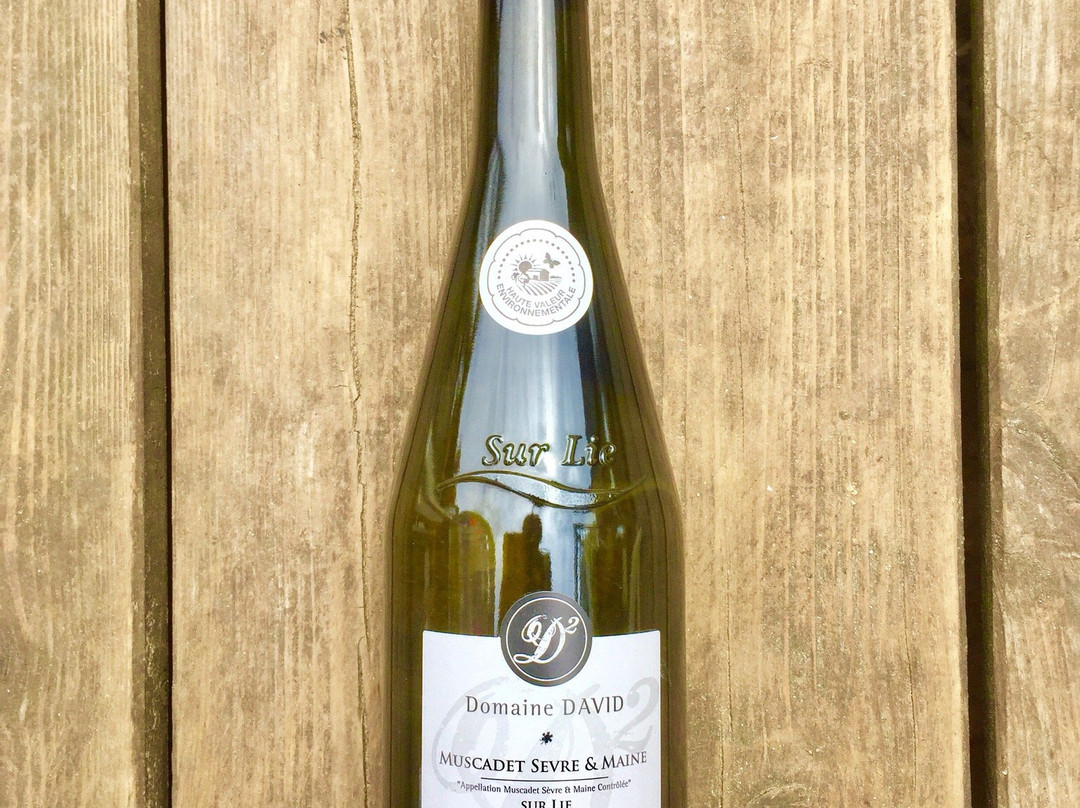 Marché Sain-Jean-De-Monts-圣热昂德蒙特必去景点