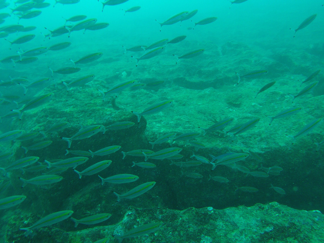 Polhena Diving Center景点图片