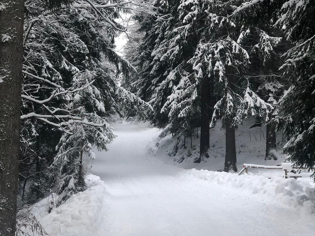 Horsky hotel Oresnica主图