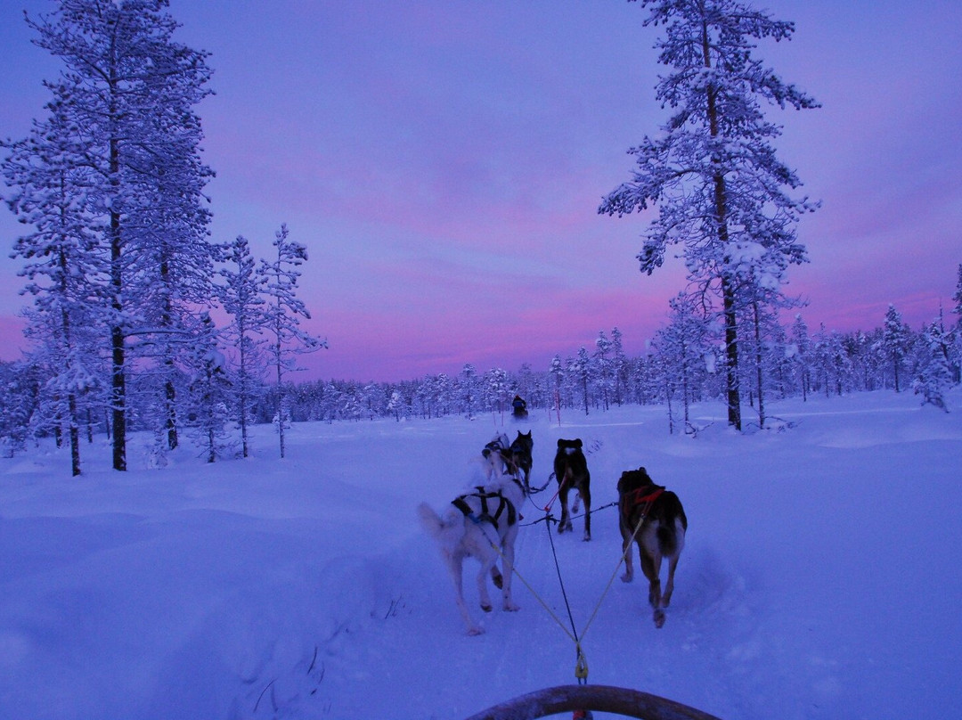 Snow Fun Safaris Lapland景点图片