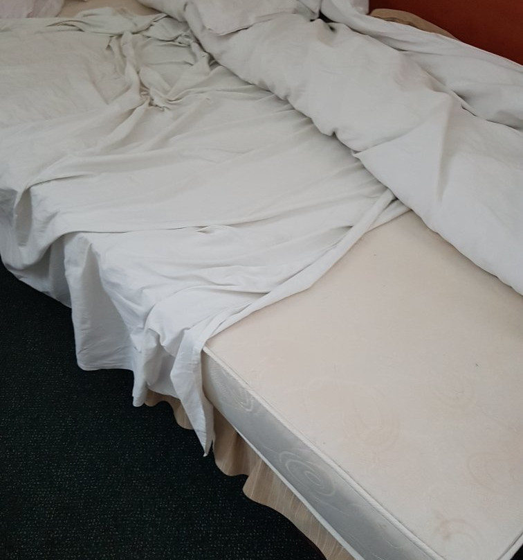 Restauracia Hotel Amber主图