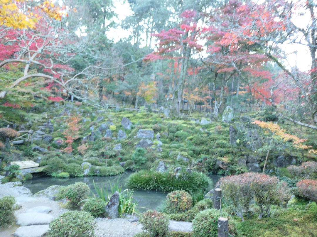 Saimyo-ji Garden Horaitei景点图片