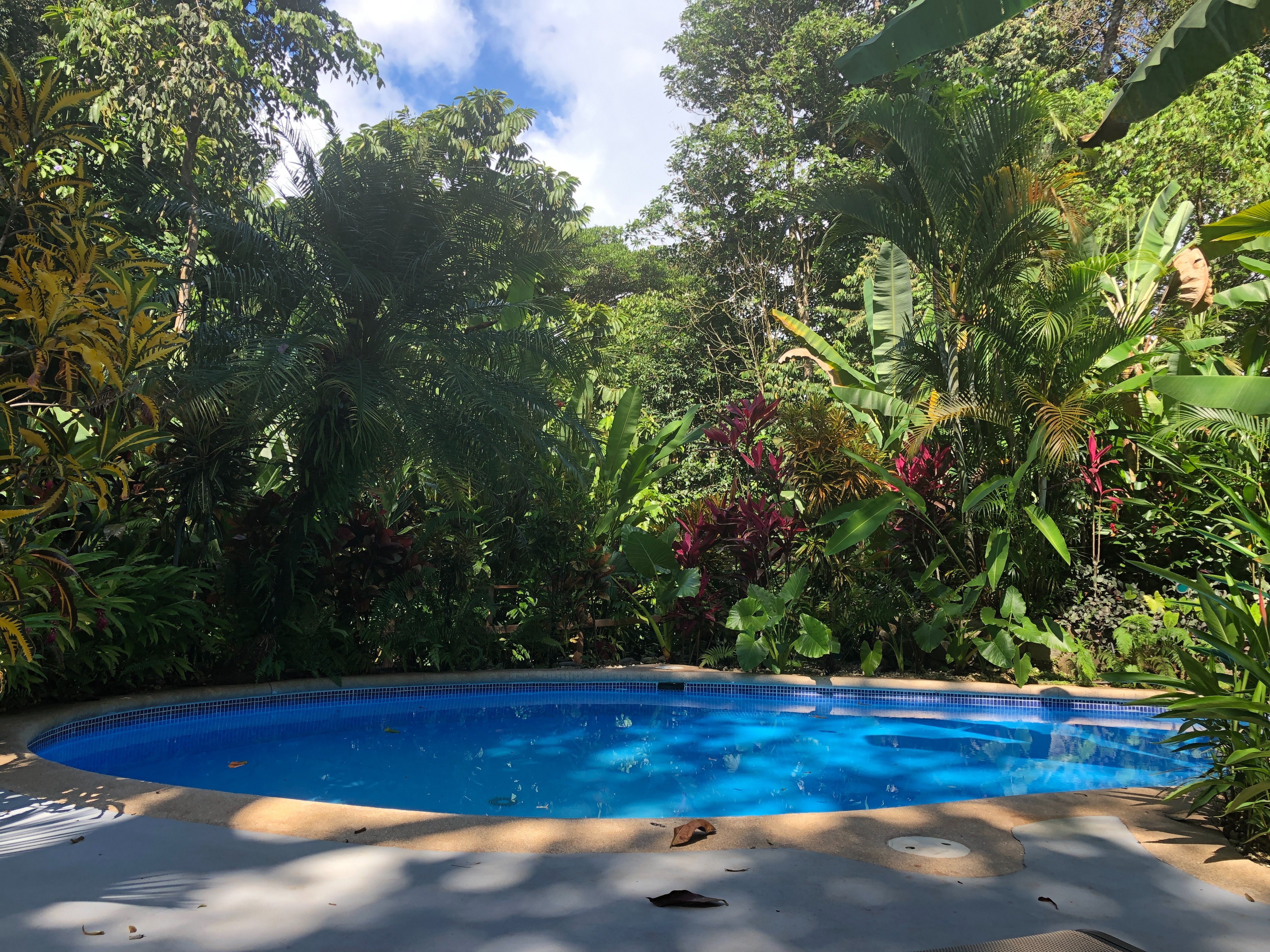 Villas En El Bosque-泳池